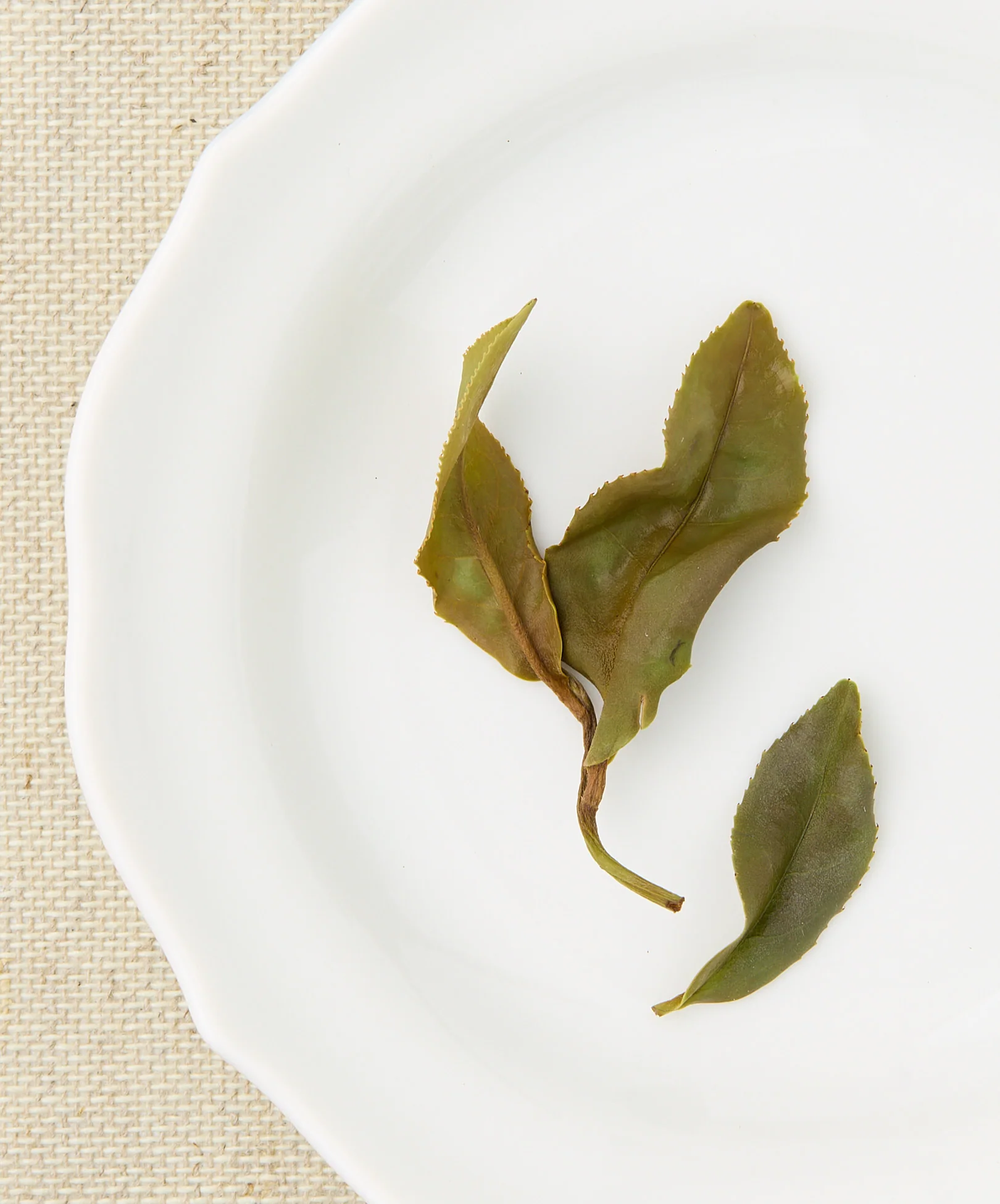 Assam White