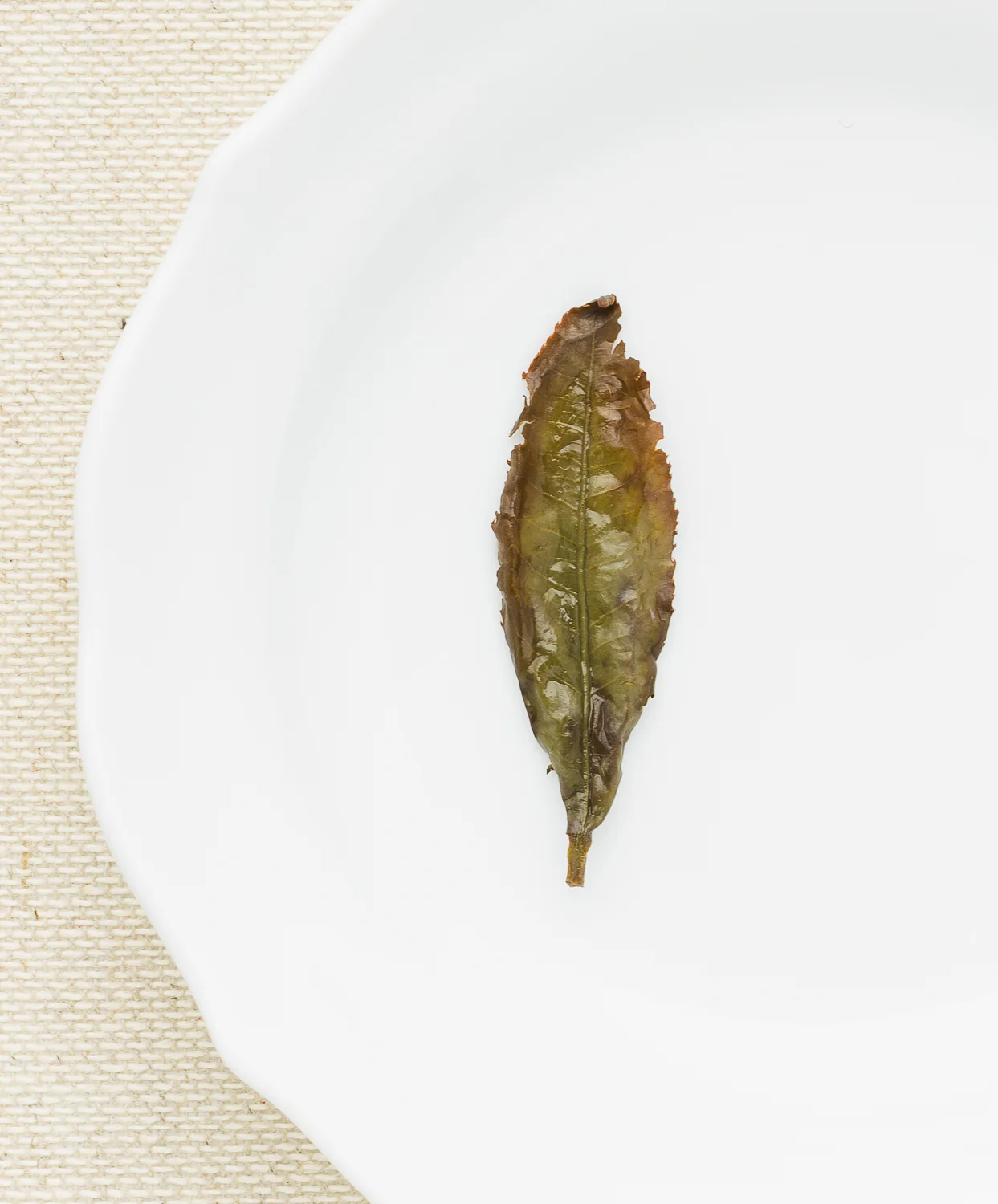 Emerald Leaf: Organic GABA Tea